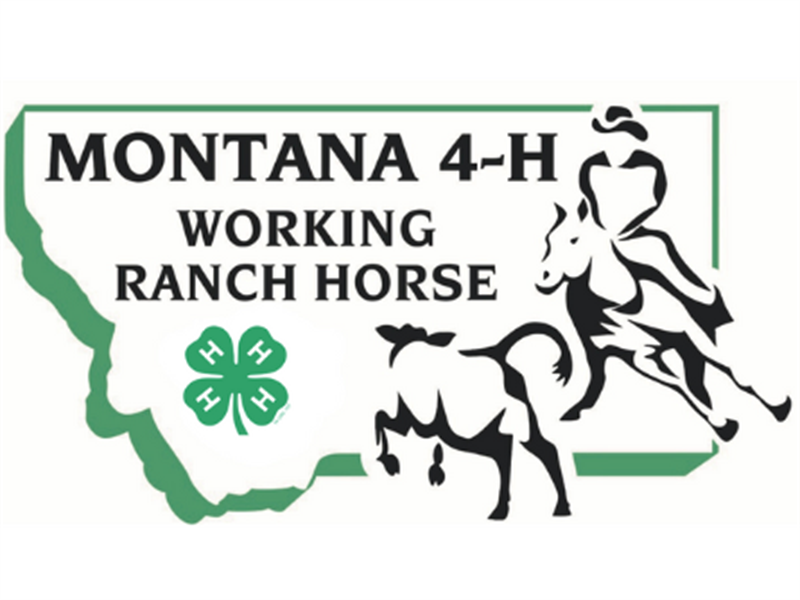 Fair Logo